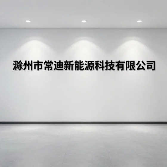 滁州市常迪新能源科技有限公司发展趋势分析